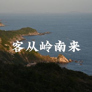 客从岭南来