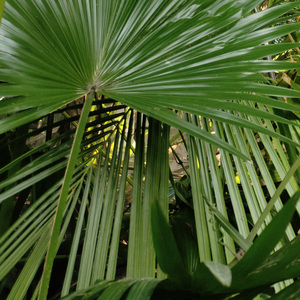 我该如何写我呢