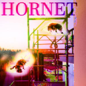hornet