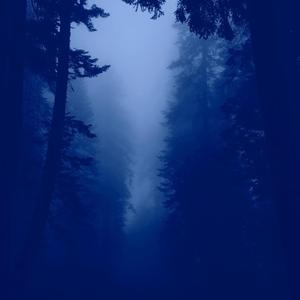 kältetod (feat. c r x w.n)