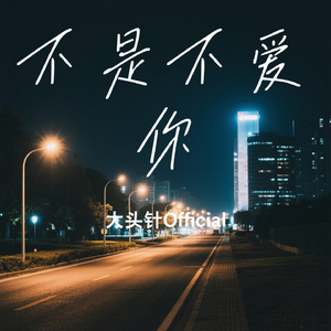 不是不爱你