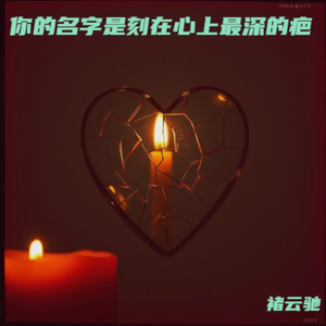 你的名字是刻在心上最深的疤