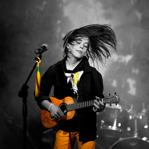 Милые собачки