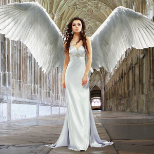 Elegance in its Purest Form