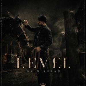 Level