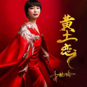 安艳玲-黄土恋mix