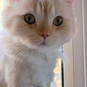 格式转换_我想要