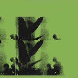 working together on an ikea shelf