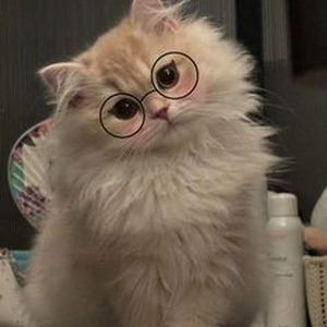 Hope Of Morning (Sped Up)