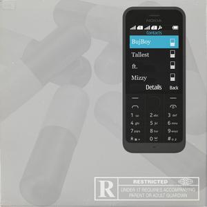 BujBoy (feat. Mizzy)