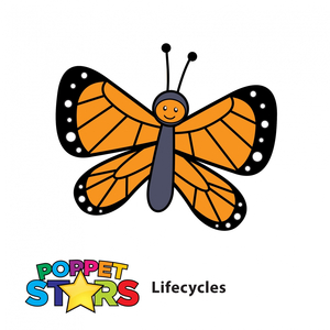 Lifecycles