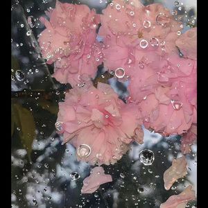 我孤独地徘徊Prod by Uranus