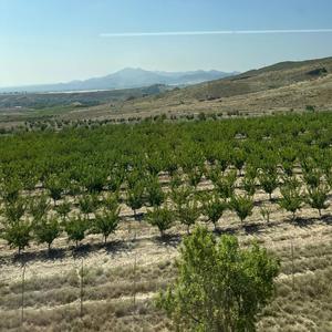 Once Dormant Heart 5