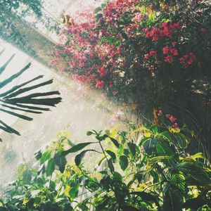 《E8r即兴曲》散步小憩