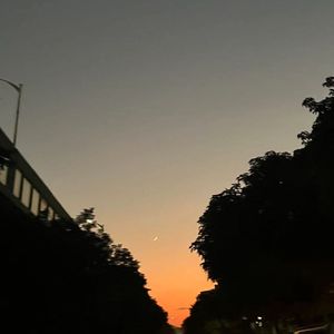 白月光