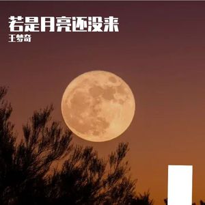 若是月亮还没来 (改编版)