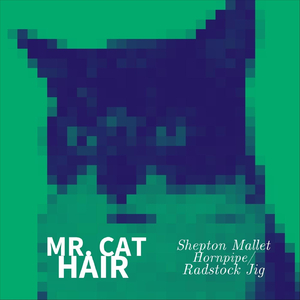 Shepton Mallet Hornpipe / Radstock Jig