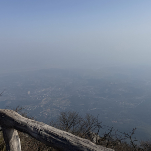 命运礼物的标价