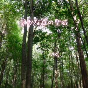 静かな森の聖域