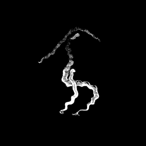 Model Collapse (Basic Rhythm Remix)