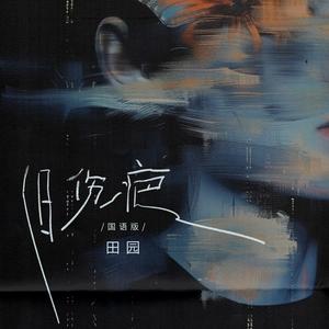 旧伤疤 (DJ九零国语版)