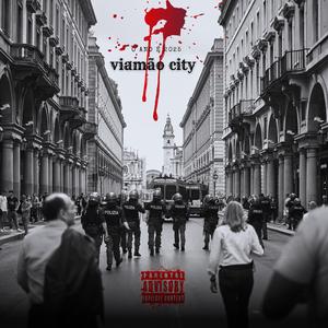 Viamão city (Ervin-ly G, Lil johnny, Trezzy & Wicked record Remix)