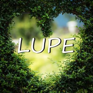 Lupe