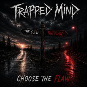 Choose the Flaw