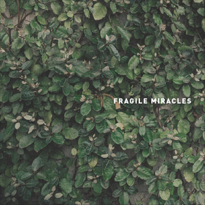 Fragile Miracles