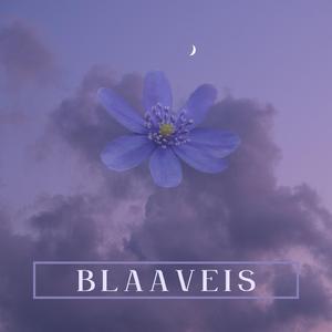 Blaaveis