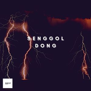 Senggol Dong
