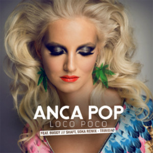 Loco Poco (Track 7 Remix / Shaft Vibes Entertainment)