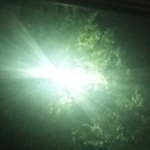 雨天里的季节性想念