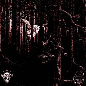 NEVER LET (feat. Helli)