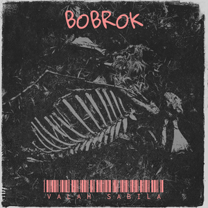 Bobrok