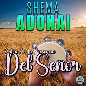 Salmo 94 Renuevame