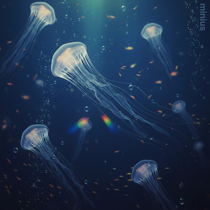 Can’t Let You Go (심해)