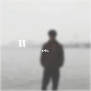林海山-我（林海山 remix）