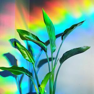 The Burden Of Dreams