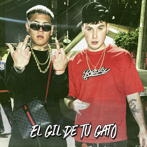 El Gil de Tu Gato