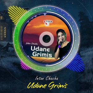 Udane Grimis (Remix)