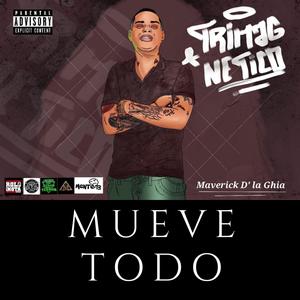 Mueve Todo