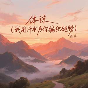 体谅 (我用汗水为你编织翅膀)