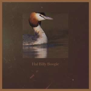 Hal Billy Boogie