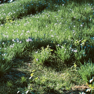 묘해, 너와 (Cover)