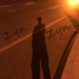 Zyn Zyn