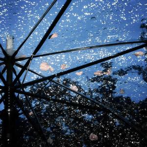 他在思念什么每日每夜