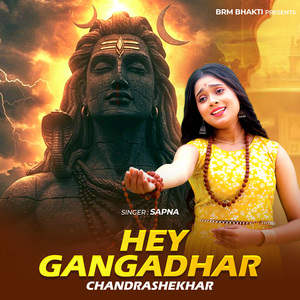 Hey Gangadhar Chandrashekhar