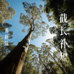 截长补短 (夜晚版)