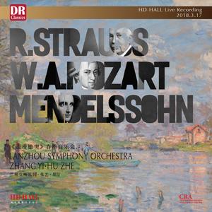 G大调长笛协奏曲 - 第一乐章：庄严的快板